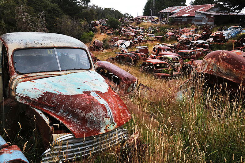 Crash Palace Wreckers : Horopito : New Zealand : Travel : Photos :  Richard Moore Photography : Photographer : 